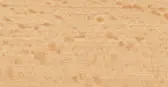 Farbbild