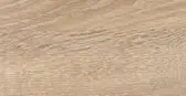 Farbbild